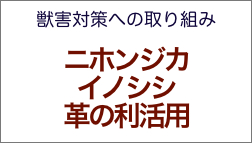 ニホンジカ、イノシシの革の利活用